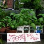 sustainable COMMUNITY