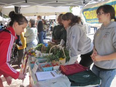 Green Team at Farmers' Market