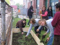 edgerly garden installation
