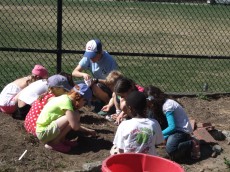 planting seeds