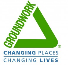 GWS Logo