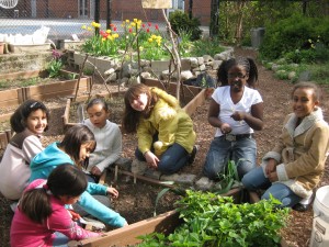 Planting Seeds at Healey